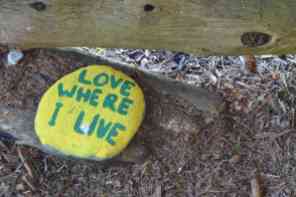 Painted rocks at our campsite